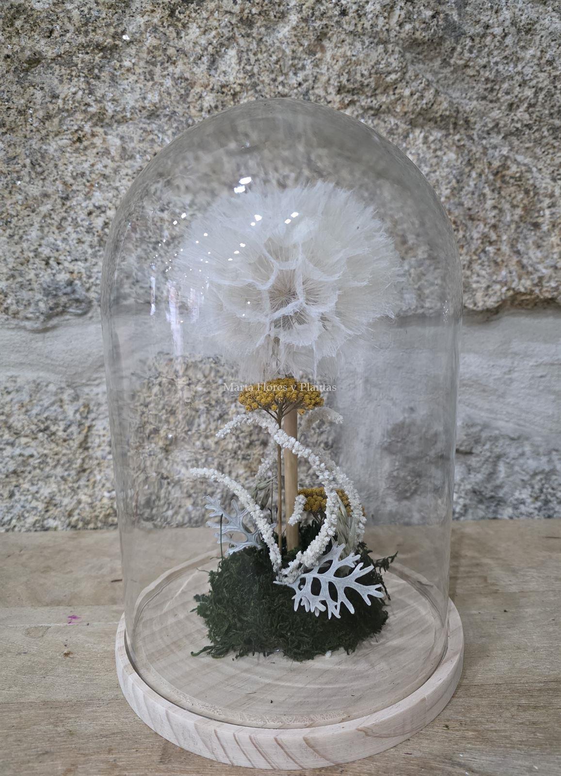 DIENTE DE LEÓN - Imagen 2