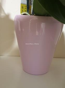 Maceta de colores - Imagen 2