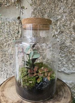 Terrario - Imagen 1