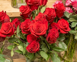 ¿No te gustan las rosas? Regala estas flores por San Valentín