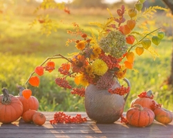 ¡Nueva temporada! ¿Cuáles son las mejores flores para otoño?