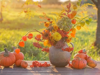 ¡Nueva temporada! ¿Cuáles son las mejores flores para otoño?