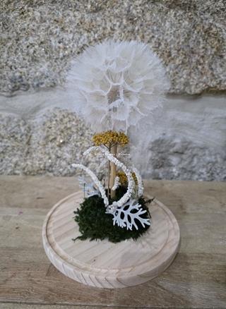 DIENTE DE LEÓN - Imagen 1