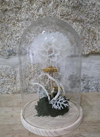 DIENTE DE LEÓN - Imagen 2