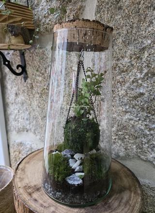 TERRARIO CON KOKEDAMA - Imagen 1